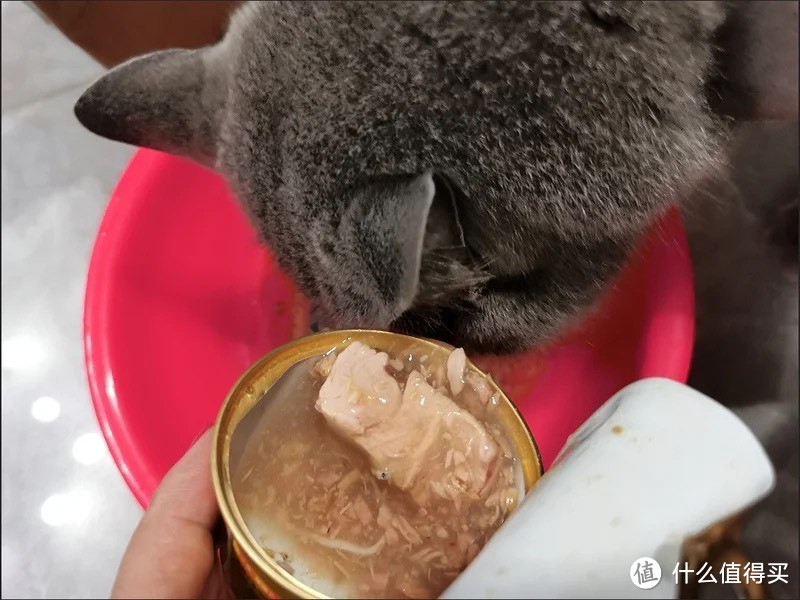 ￼￼麦富迪猫罐头 成幼猫通用宠物冻干猫零食湿粮猫条 浓汁混合装85g*24