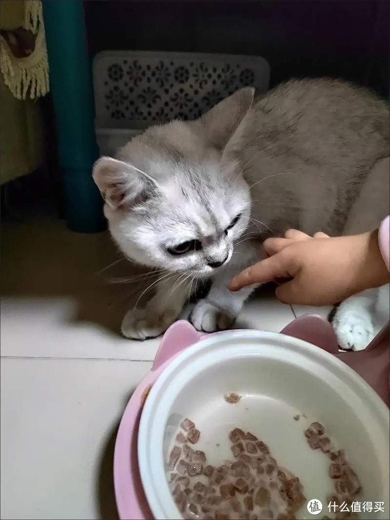 ￼￼麦富迪猫湿粮猫条猫罐头冻干猫零食 成幼猫通用羊奶肉包 混合装70g*12