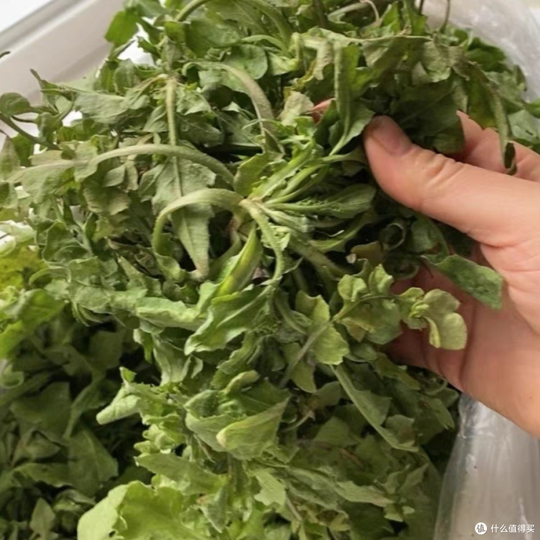 荠菜：春日的野味盛宴，绿色的健康宝藏