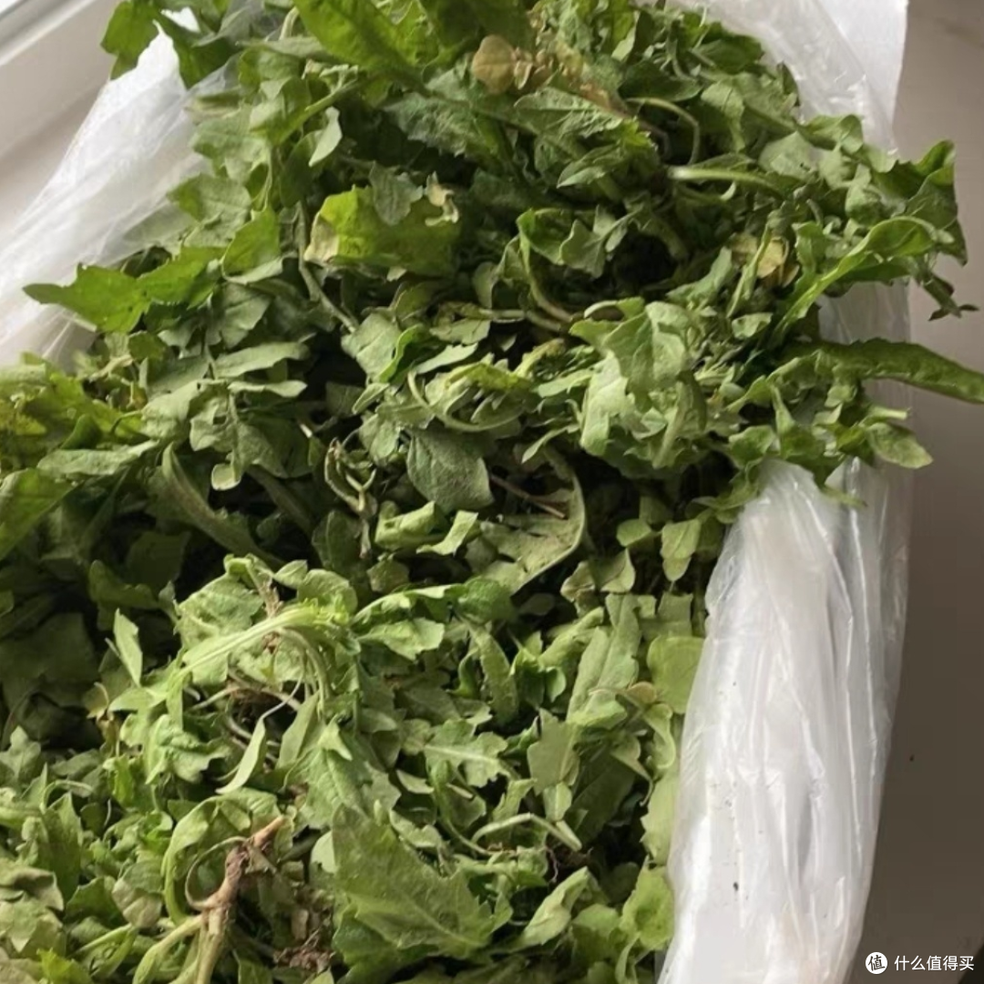 荠菜：春日的野味盛宴，绿色的健康宝藏
