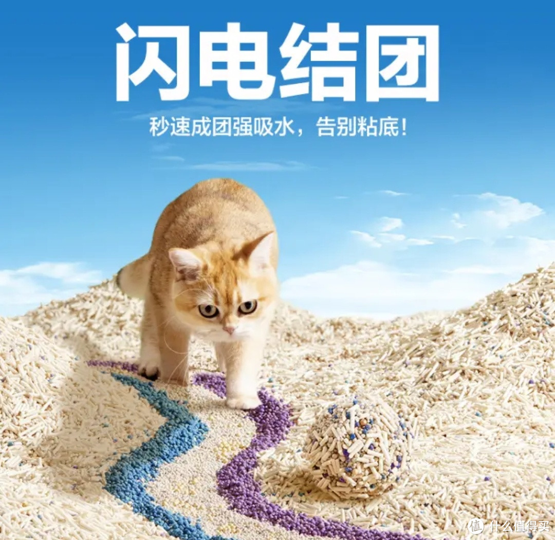 猫咪必备！揭秘猫砂选购秘籍