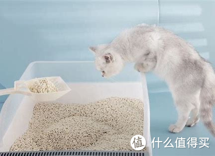 膨润土猫砂推荐