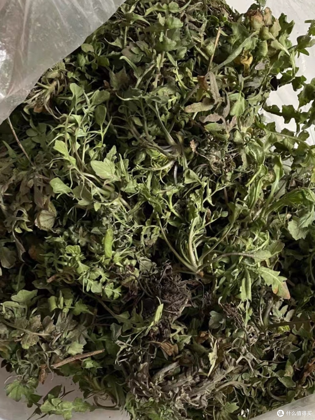 荠菜：春日的野味盛宴，绿色的健康宝藏