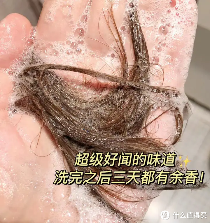 洗发水排行榜前十名？