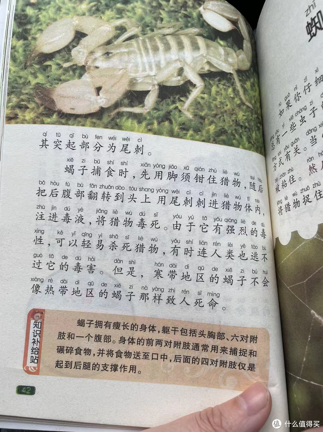 中国孩子的百科全书之蝎子怎样攻击猎物