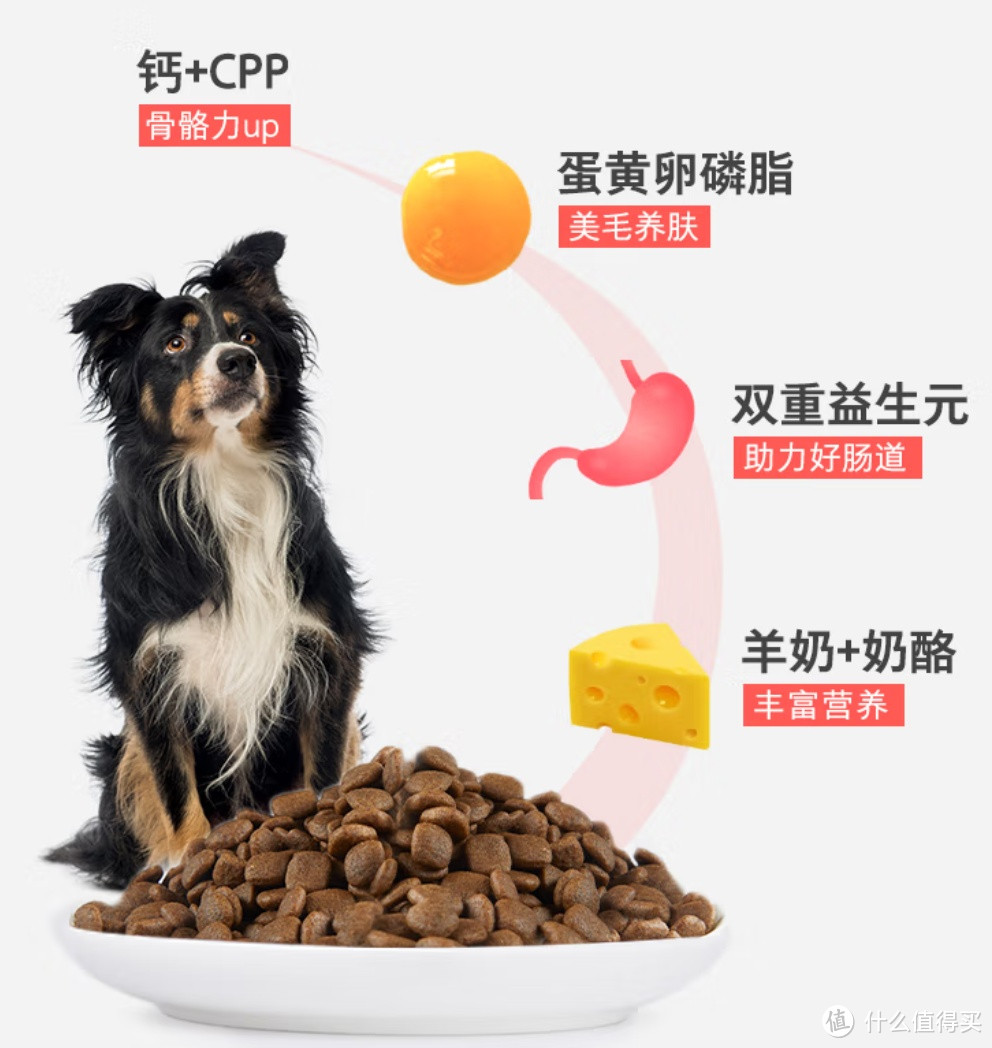 卫仕狗粮：食荟冻干犬粮，全方位关爱狗狗的美食之选