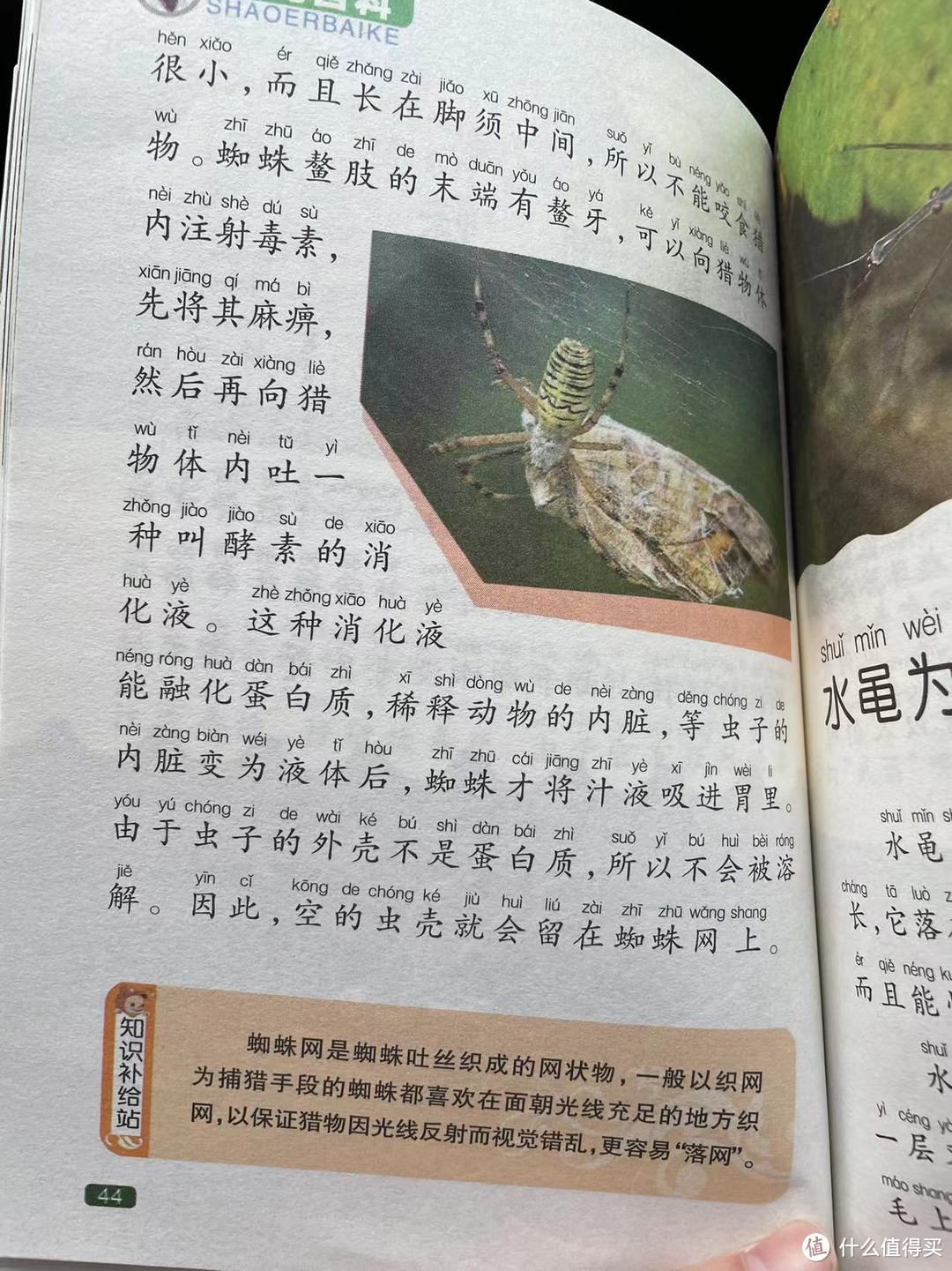 中国孩子的百科全书之蜘蛛