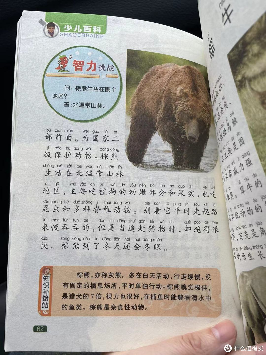 中国孩子的百科全书之陆地上最大的食肉动物