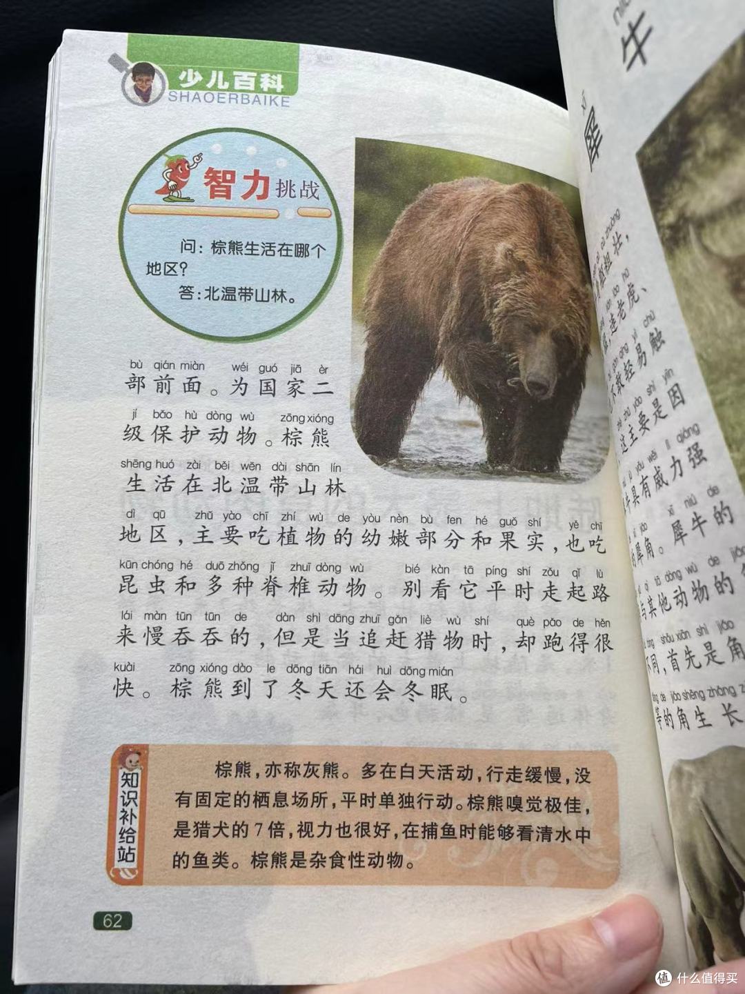 中国孩子的百科全书之陆地上最大的食肉动物