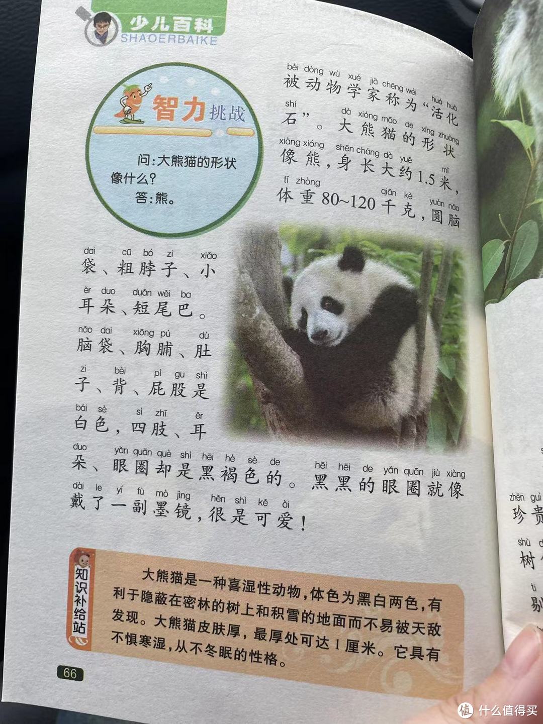 中国孩子的百科全书之大熊猫