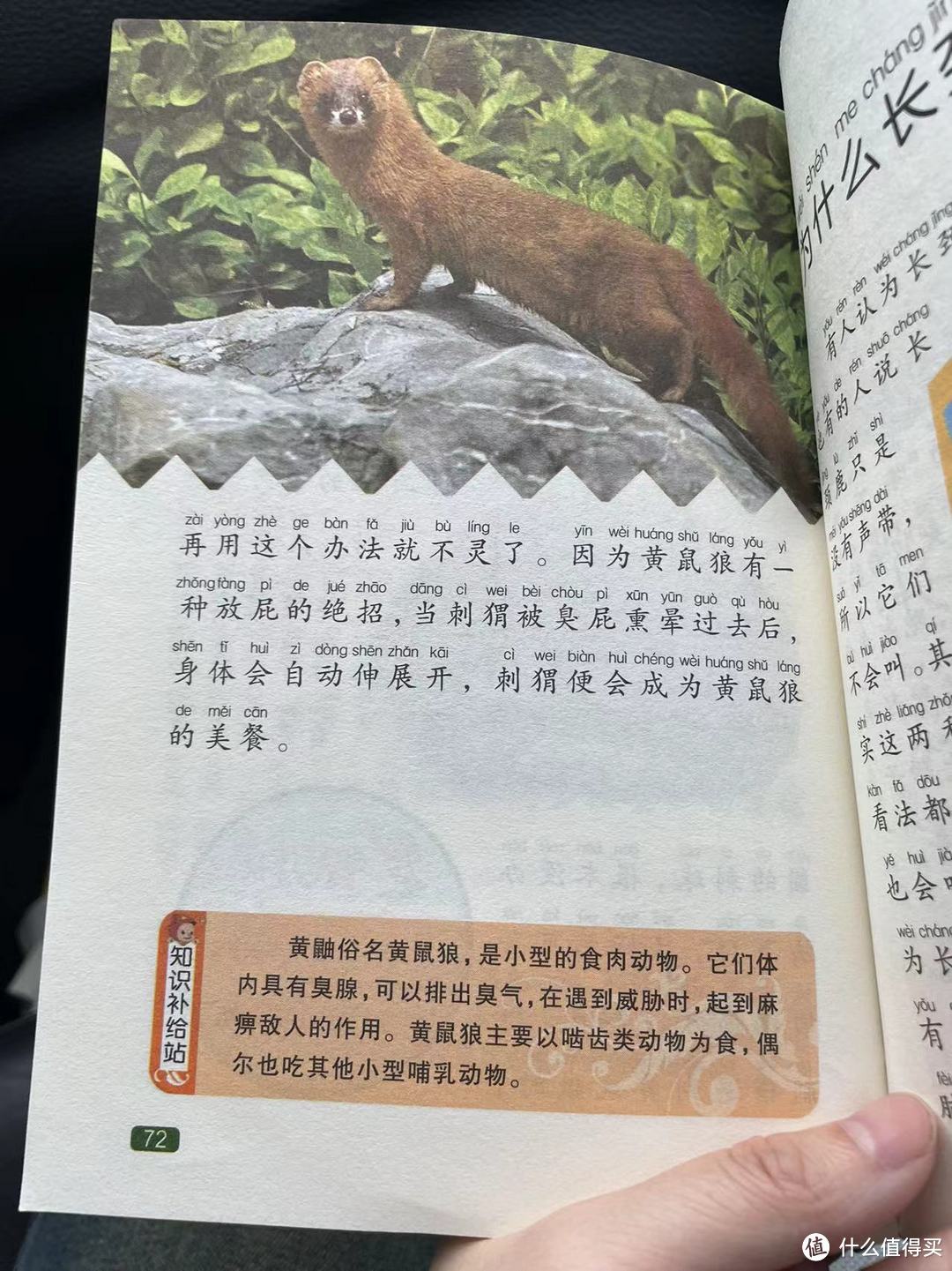 中国孩子的百科全书之黄鼠狼吃刺猬