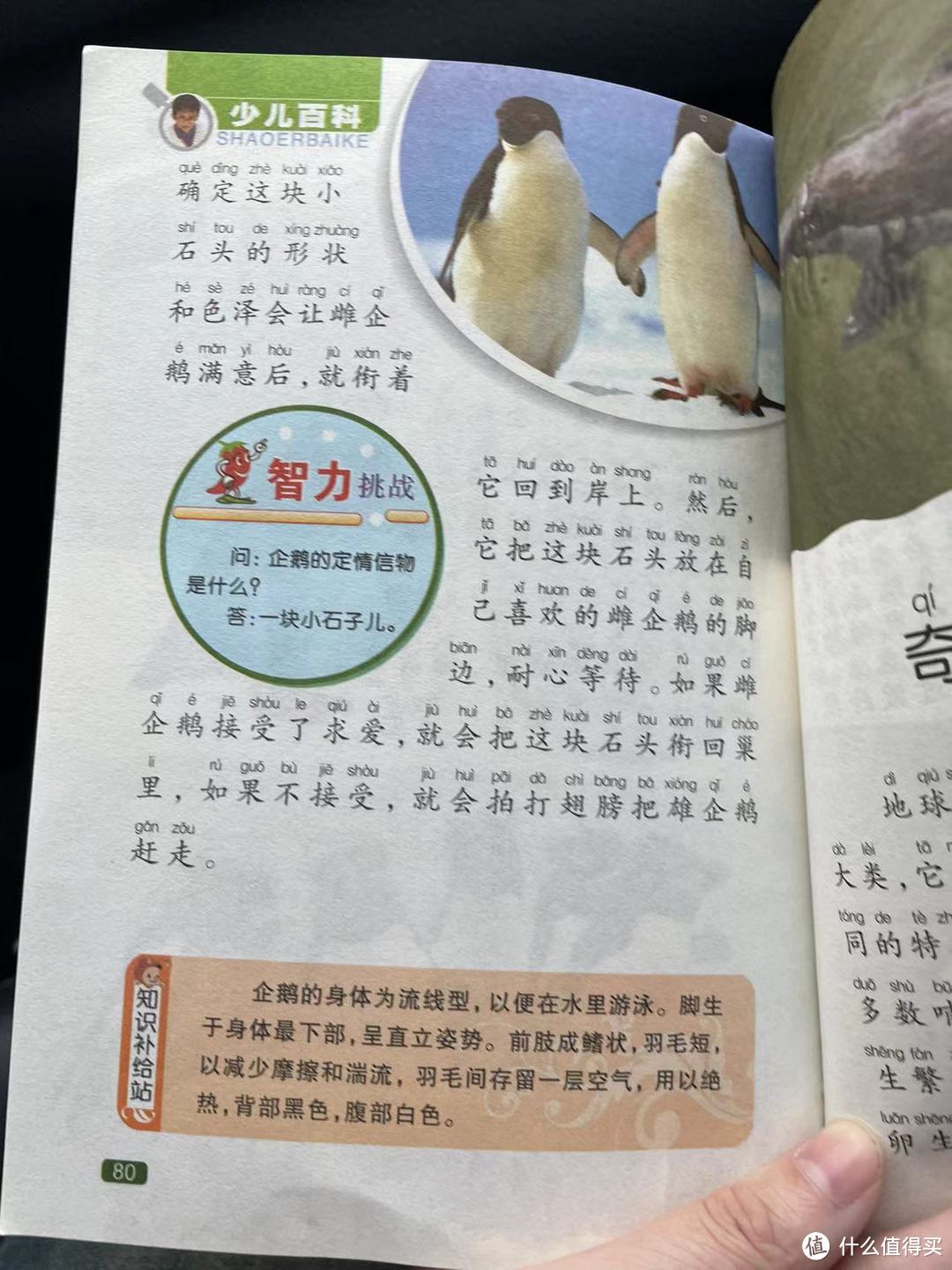 中国孩子的百科全书之企鹅