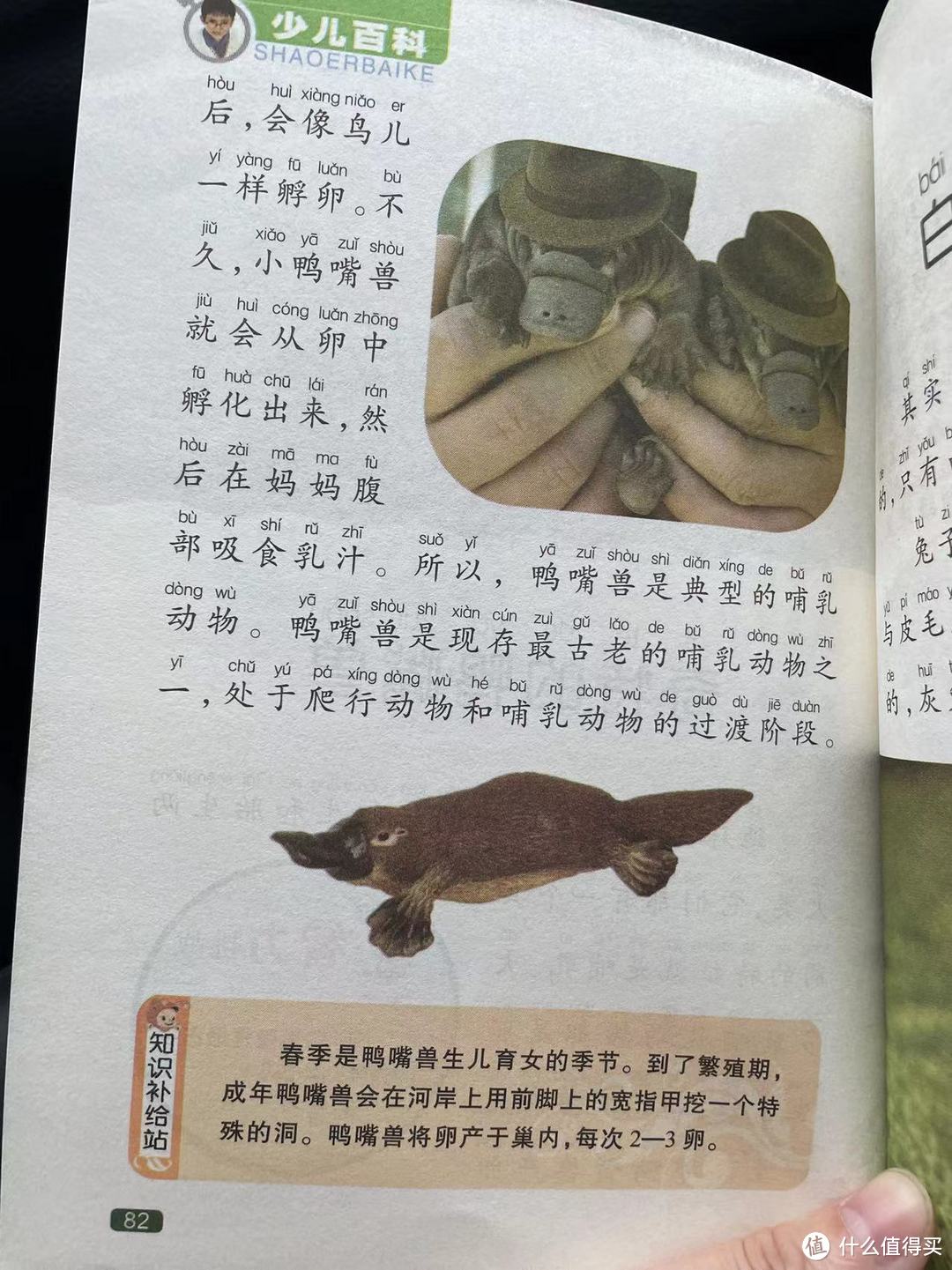 中国孩子的百科全书之奇特的鸭嘴兽