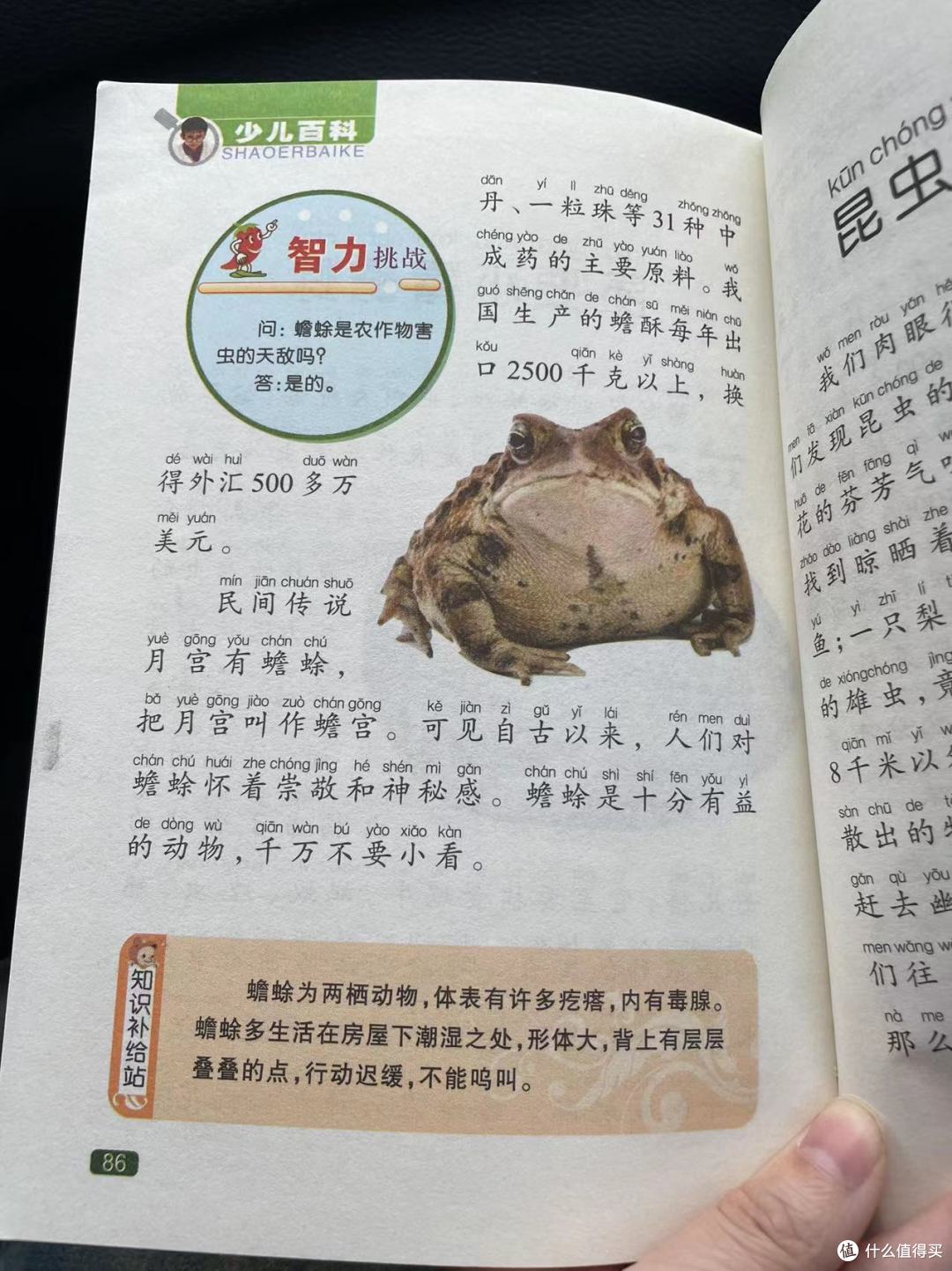 中国孩子的百科全书之不要小看蟾蜍