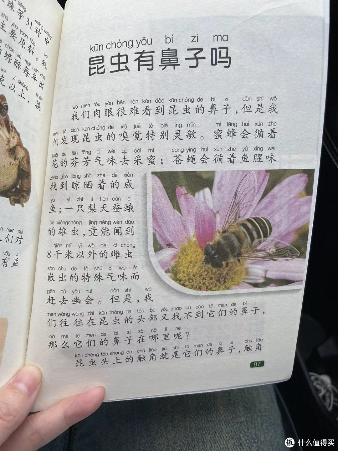 中国孩子的百科全书之昆虫有鼻子吗