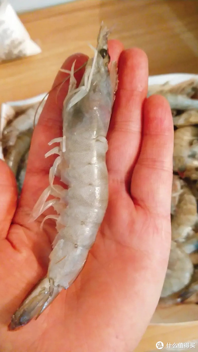 万景北海鲜冻白虾国产白虾 净重4斤 100-120只 大虾对虾 海鲜