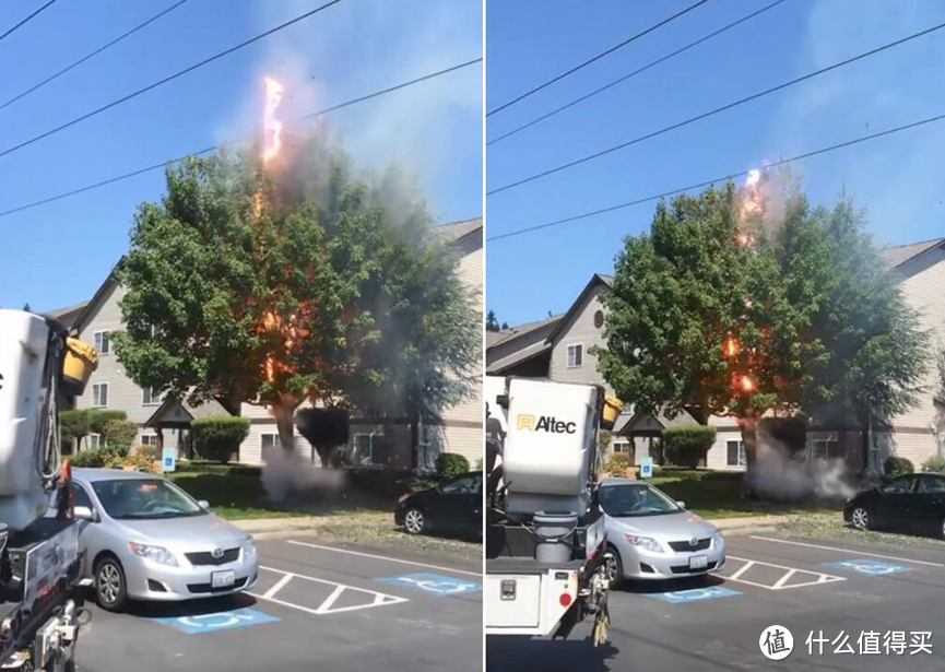 激光雷达守护：鼎信智慧架空输电线路走廊树障在线监测系统实时监控树木的一举一动