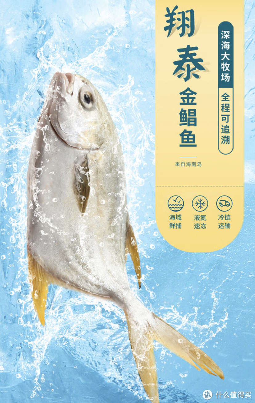 怎么吃都好吃的海南金鲳鱼分享。