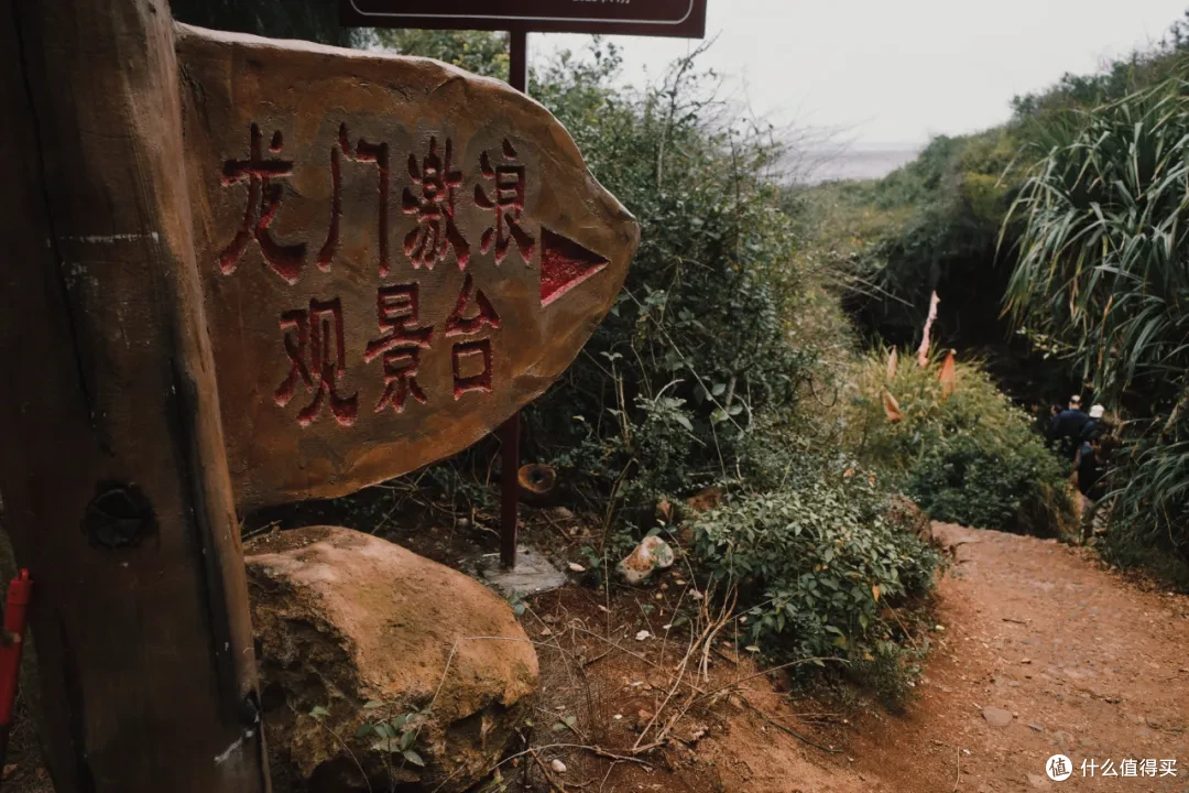 盼了好久的环岛巴士终于开通!可以去我最爱的小岛放肆嗨皮啦!
