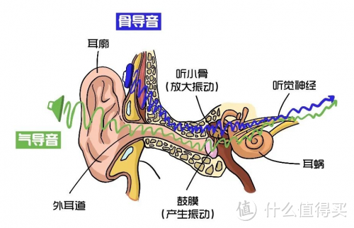 开放式耳机什么牌子好？如何选购？避雷绝招尽在此！