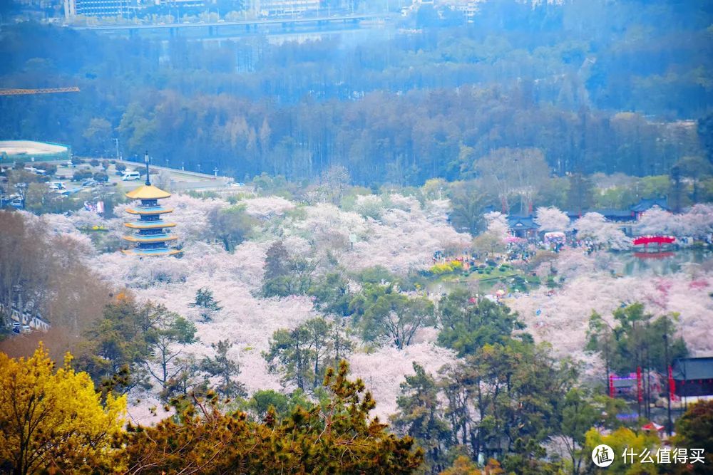 她就是春天最浪漫城市，不接受反驳