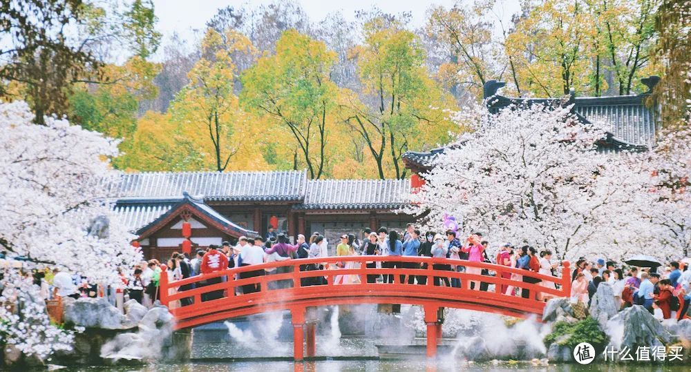 她就是春天最浪漫城市，不接受反驳