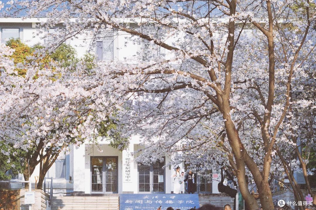 她就是春天最浪漫城市,不接受反驳