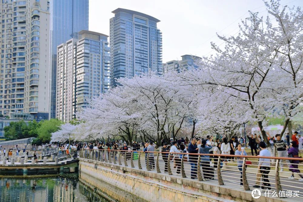 她就是春天最浪漫城市，不接受反驳