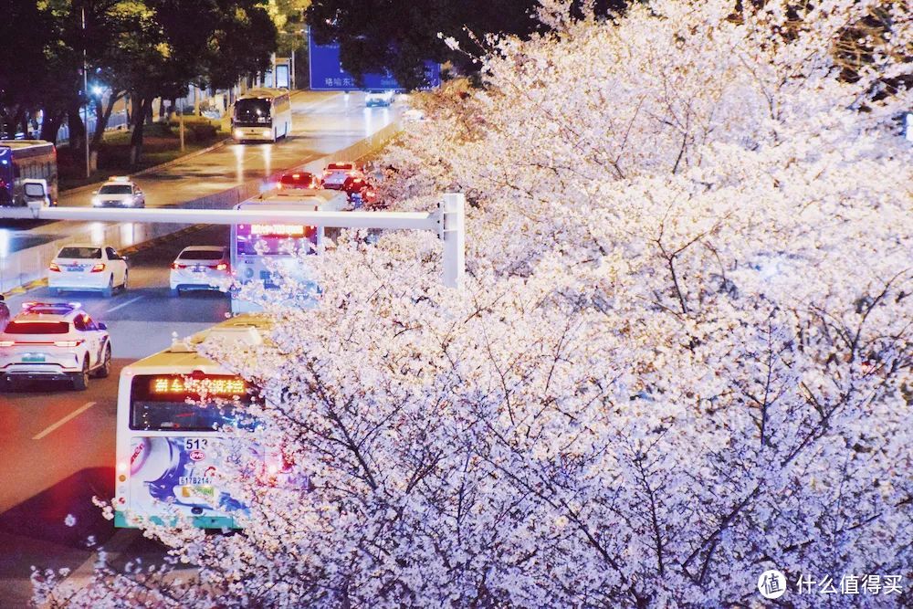 她就是春天最浪漫城市,不接受反驳