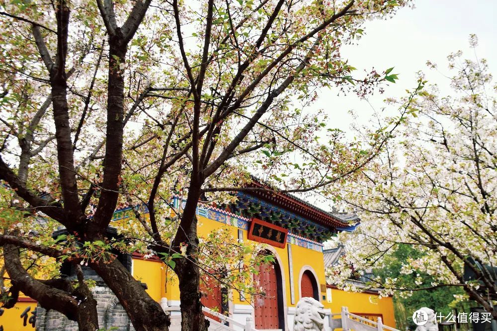 她就是春天最浪漫城市,不接受反驳
