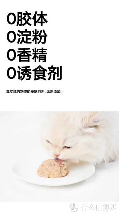 猫粮的种类