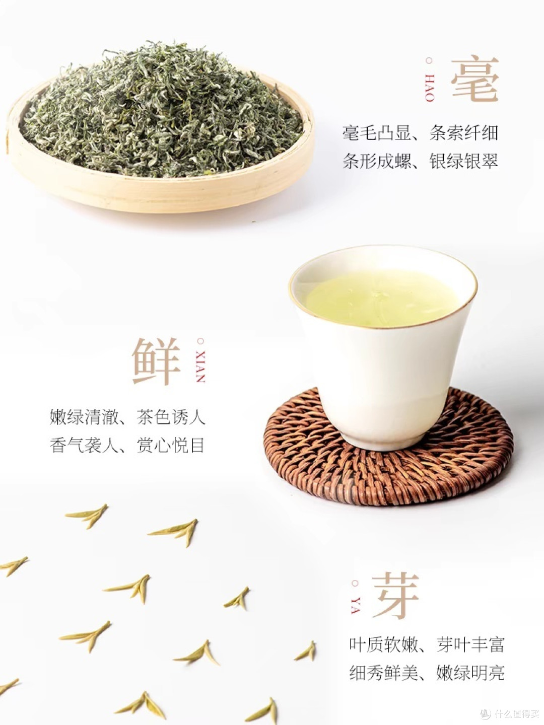 一杯春茶为春天加酚,,2024新茶上市苏州原产东山茶厂洞庭山碧螺春明前特级