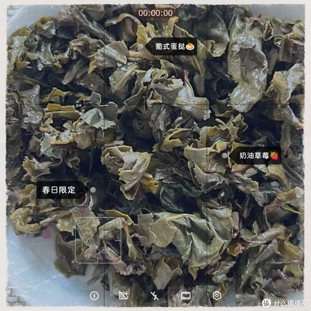 一味远凡尘，厅堂铁观音