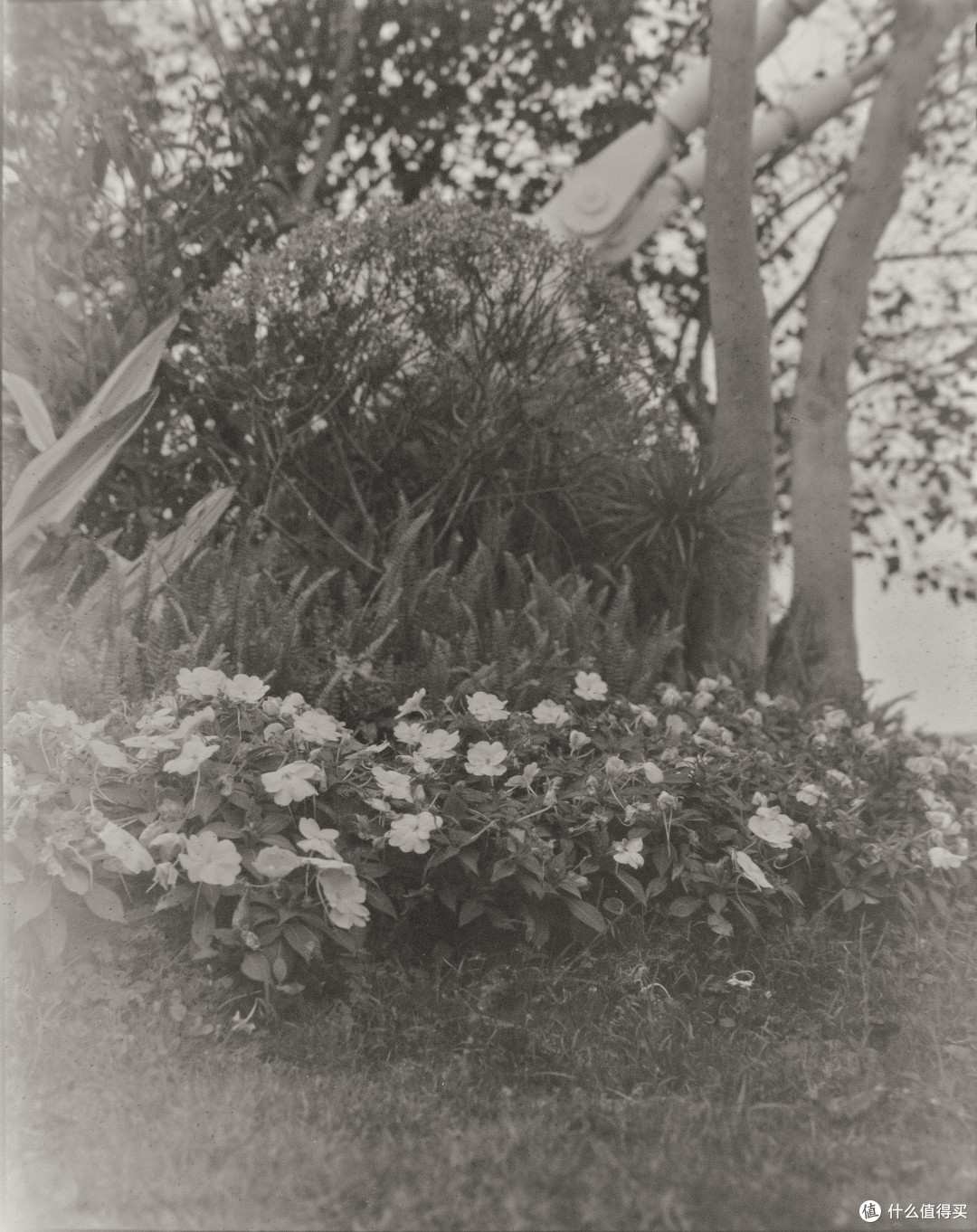 底大亿级压死人！中画幅胶片机Mamiya RB67 ProSD翻新重整分享