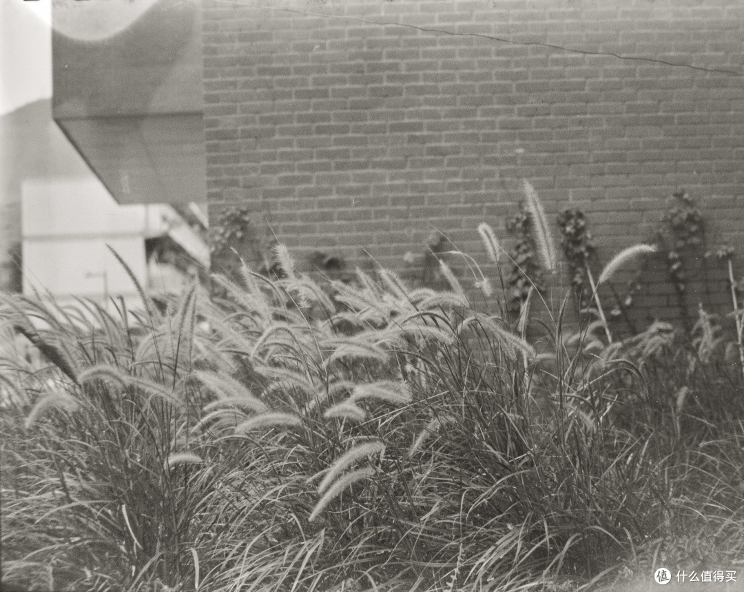 底大亿级压死人！中画幅胶片机Mamiya RB67 ProSD翻新重整分享