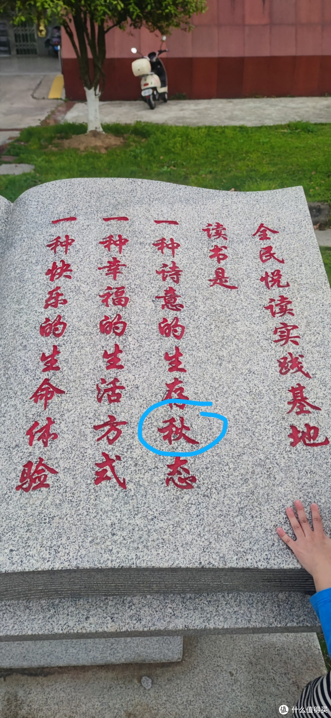 这是什么字