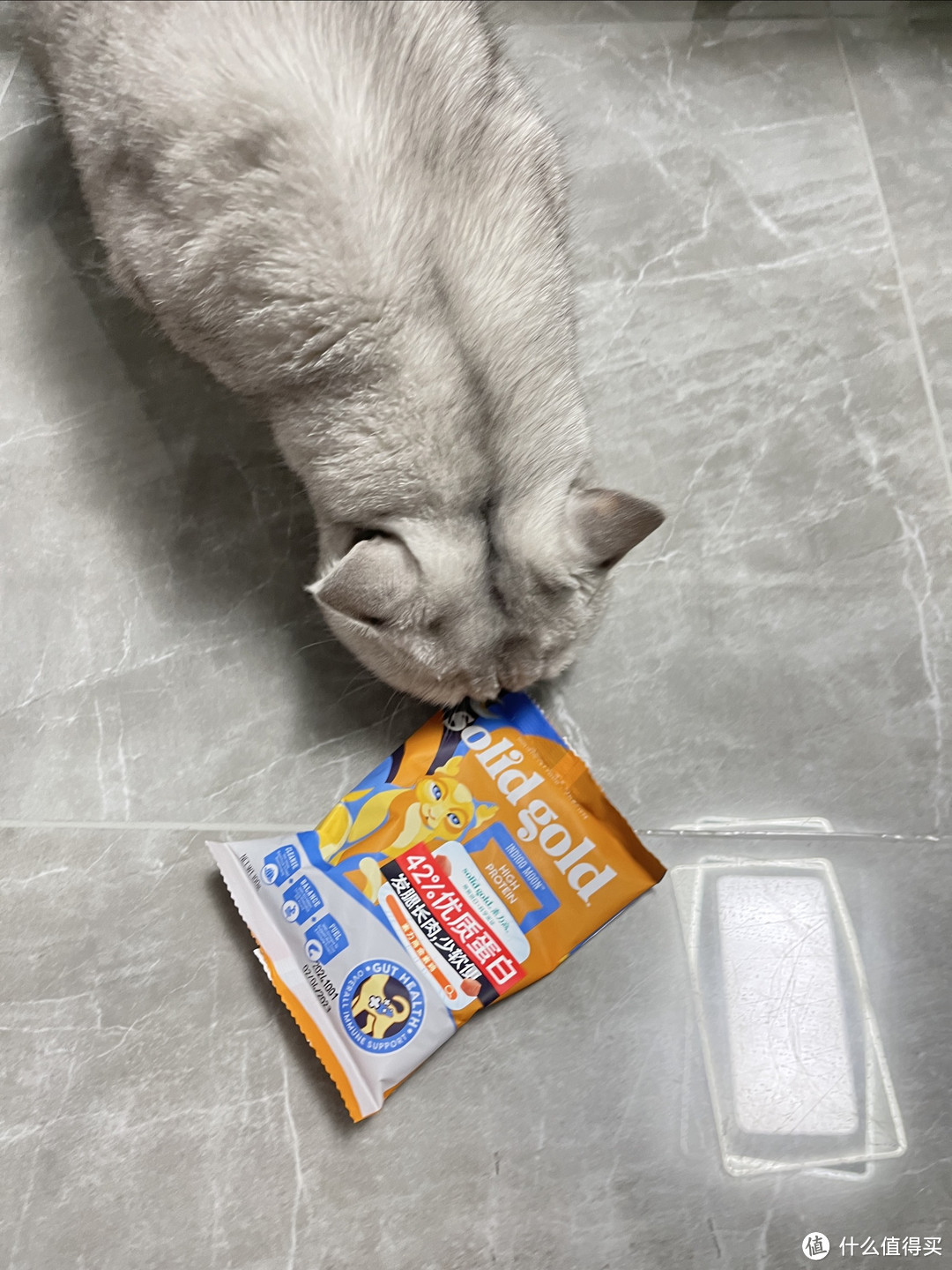 素力高猫粮是小馒头的最爱❤️，你们的猫咪喜欢吃什么牌子的猫粮呢？