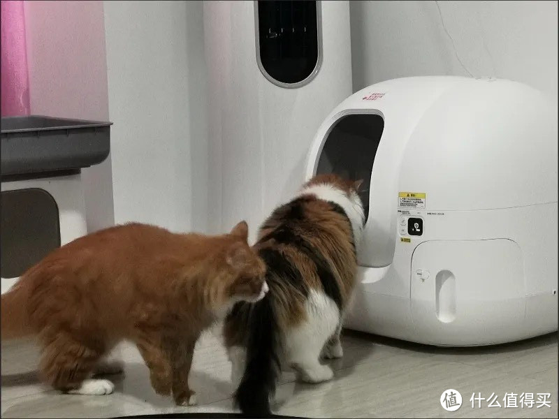 2 小佩智能全自动猫砂盆MAX超大空间猫沙除臭猫咪电动猫厕所全封闭