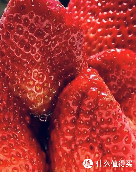 丹东99草莓，每一口都是春天的味道！