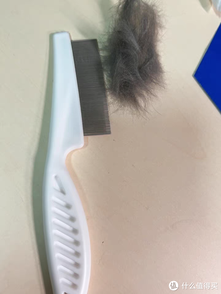 梳浮毛的梳子，为小型宠物设计