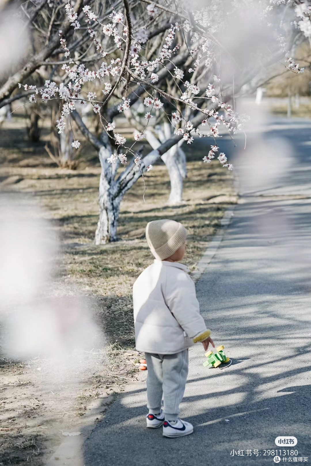 桃花谷人比较多,斜坡也不太好走,带小盆友要注意安全!