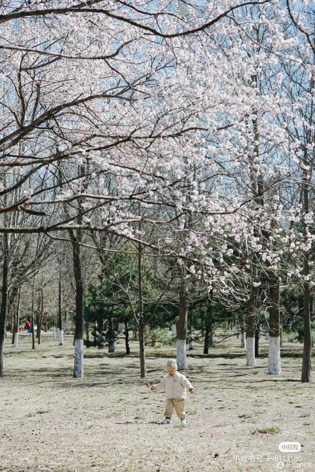桃花谷人比较多,斜坡也不太好走,带小盆友要注意安全!