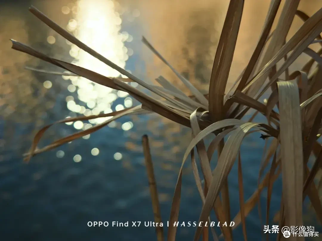一台值得推荐的影像手机?OPPO Find X7 Ultra手机影像测评