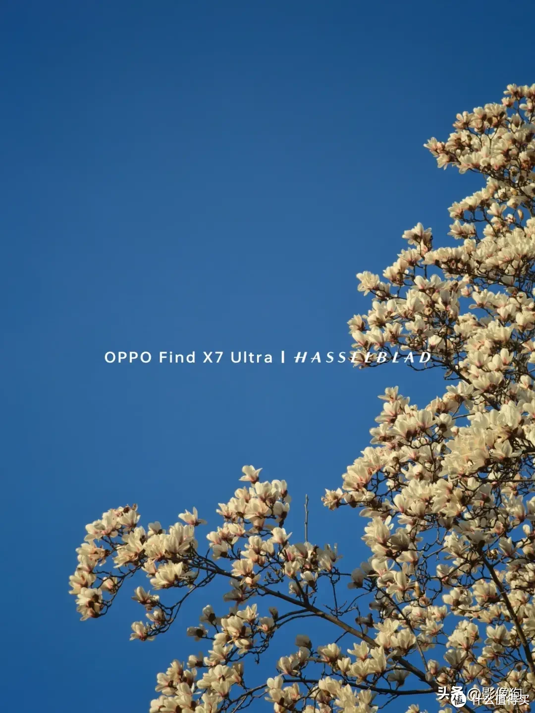 一台值得推荐的影像手机？OPPO Find X7 Ultra手机影像测评