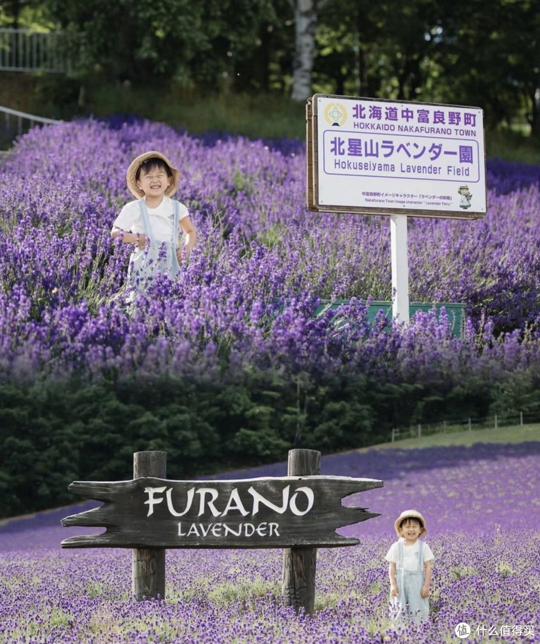 萌娃过春天北海道奇幻之旅