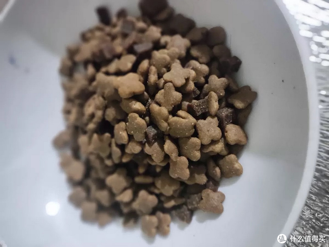 狗粮怎么选