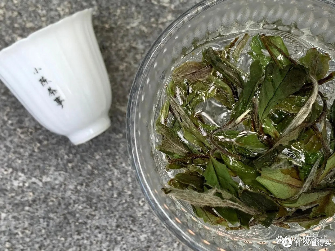 办公室喝绿茶、白茶、红茶，3个技巧你可以知道，能让茶叶更好喝