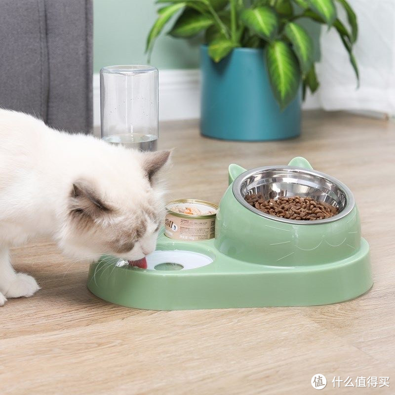猫狗两用双层渐进式碗 – 智能喂养系统，呵护爱宠成长