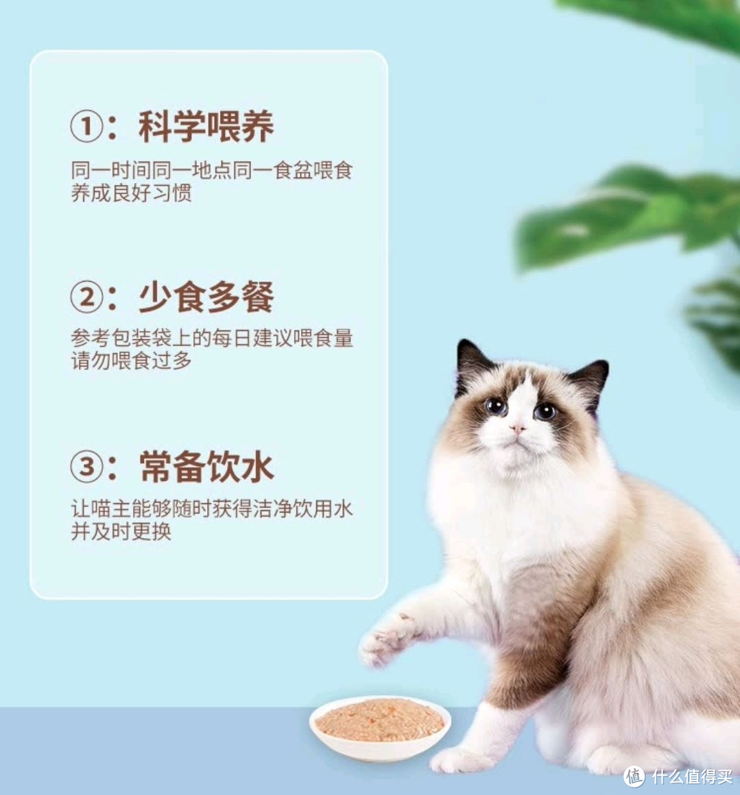 麦富迪猫咪恋系列宠物湿粮推荐。