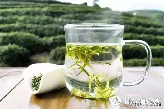 中国六大茶系：分类及特色，看完就懂了（喝茶入门）